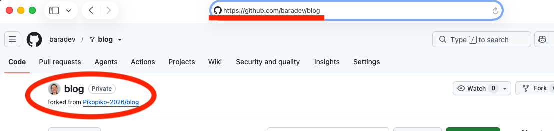 View Forked GitHub Repo