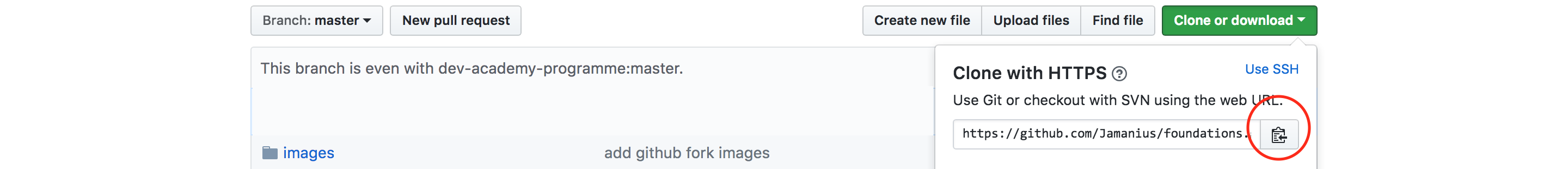 gitHub clone button