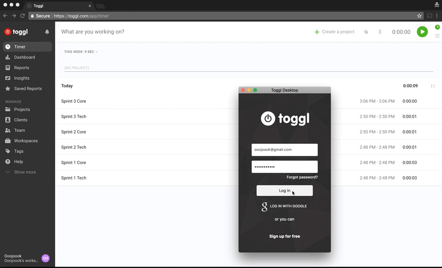 desktop toggl app demo